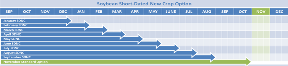 Soybean short-dated options contract
