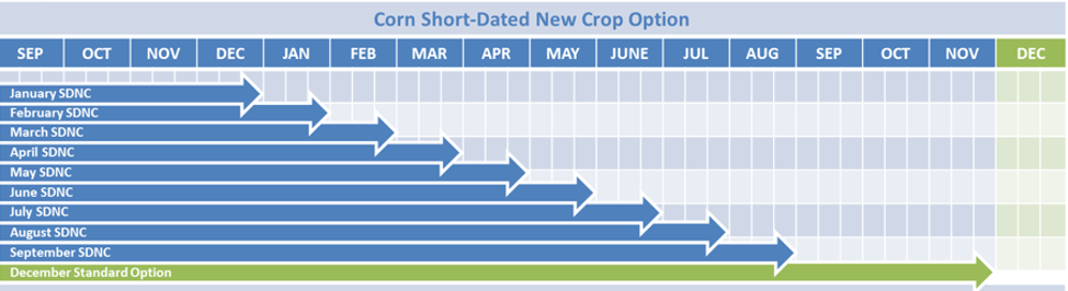 Corn short-dated options contract